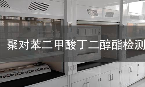 聚对苯二甲酸丁二醇酯检测