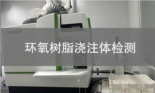 环氧树脂浇注体检测