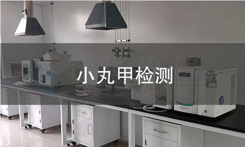 小丸甲检测