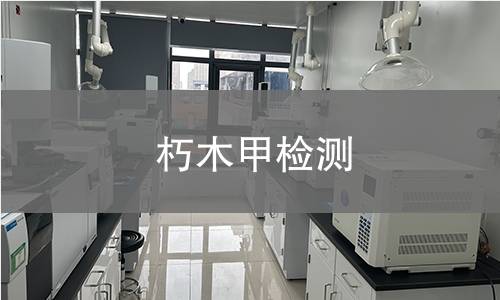 朽木甲检测
