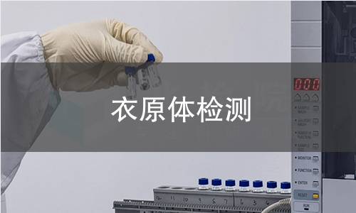 衣原体检测