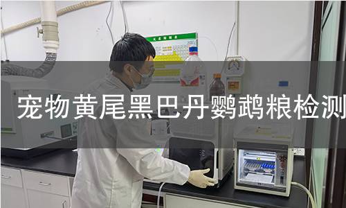 宠物黄尾黑巴丹鹦鹉粮检测