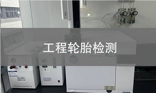 工程轮胎检测