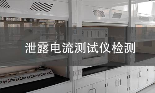 泄露电流测试仪检测,泄露电流测试仪检测机构,泄露电流测试仪测量精度评估