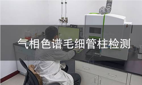 气相色谱毛细管柱检测