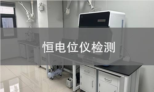 恒电位仪检测