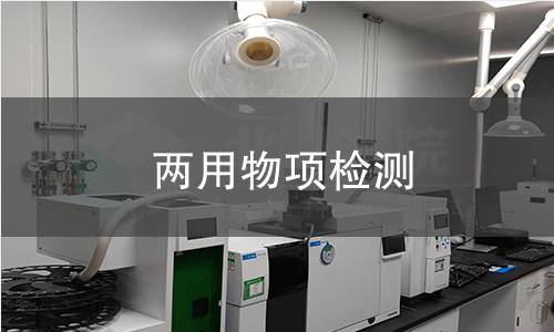 两用物项检测