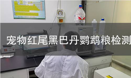 宠物红尾黑巴丹鹦鹉粮检测