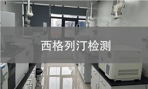 西格列汀检测,西格列汀检测机构,西格列汀检测报告,北检检测中心