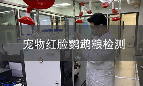 宠物红脸鹦鹉粮检测
