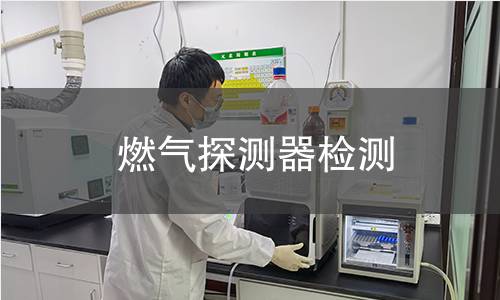 燃气探测器检测