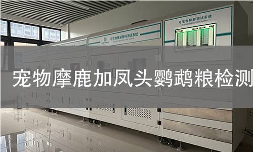 宠物摩鹿加凤头鹦鹉粮检测