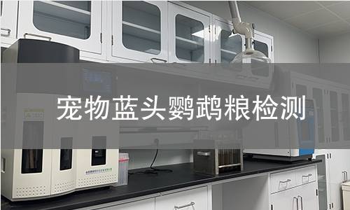 宠物蓝头鹦鹉粮检测