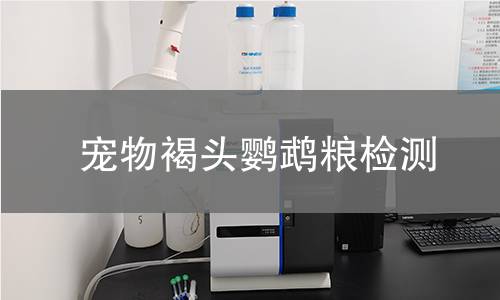 宠物褐头鹦鹉粮检测