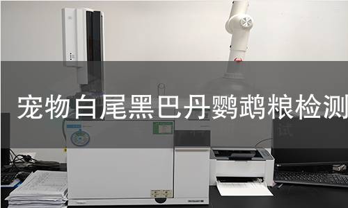 宠物白尾黑巴丹鹦鹉粮检测