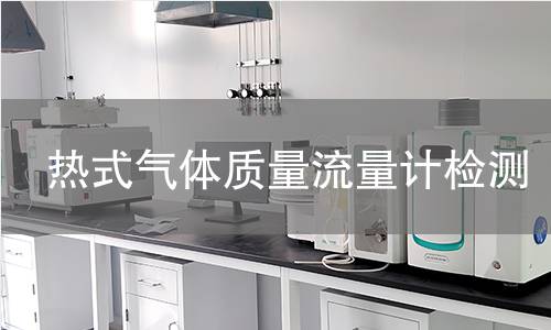 热式气体质量流量计检测