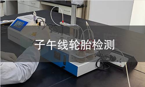 子午线轮胎检测