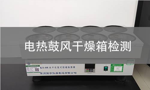 电热鼓风干燥箱检测
