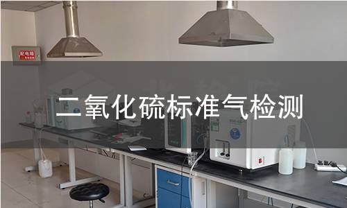 二氧化硫标准气检测