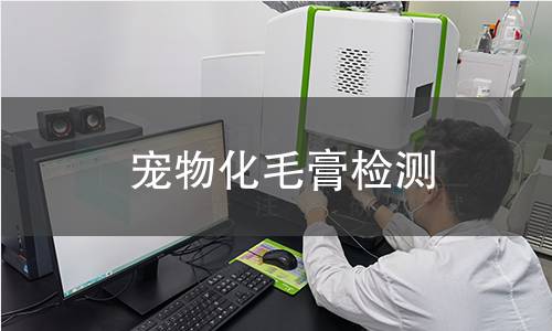 宠物化毛膏检测