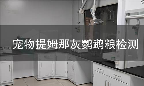 宠物提姆那灰鹦鹉粮检测