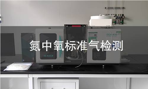 氮中氧标准气检测