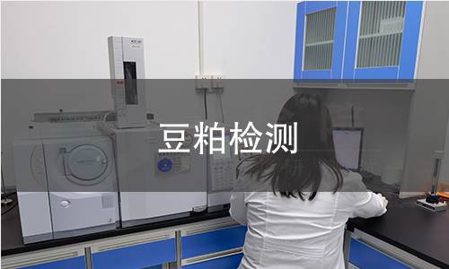 豆粕检测