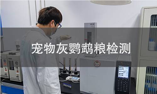 宠物灰鹦鹉粮检测