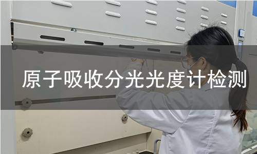 原子吸收分光光度计检测