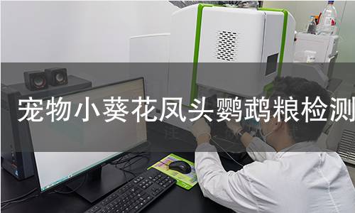 宠物小葵花凤头鹦鹉粮检测