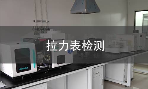 拉力表检测