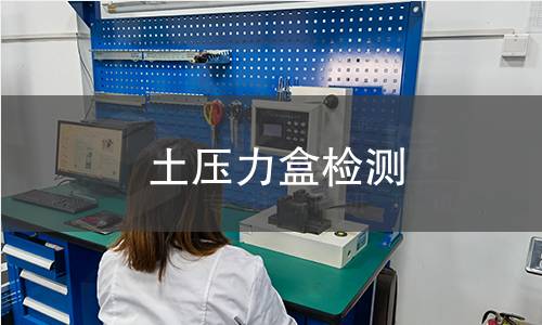 土压力盒检测