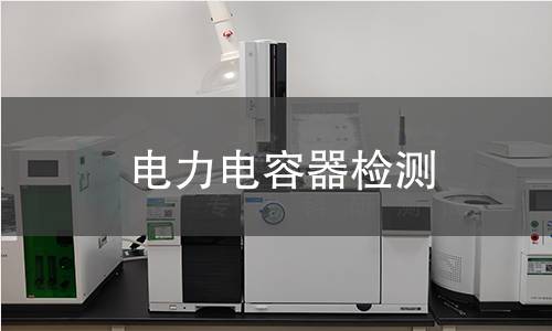 电力电容器检测