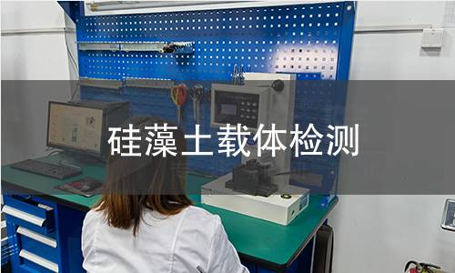 硅藻土载体检测