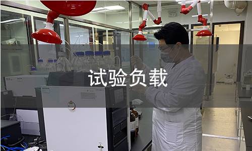 试验负载