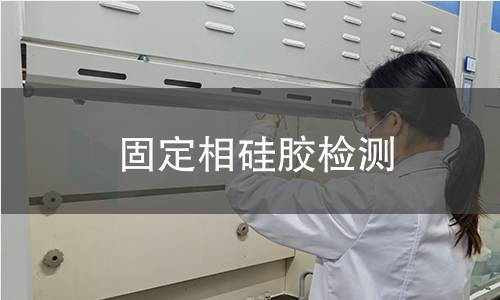 固定相硅胶检测