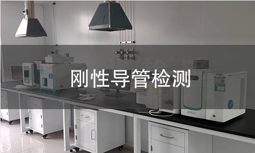 刚性导管检测