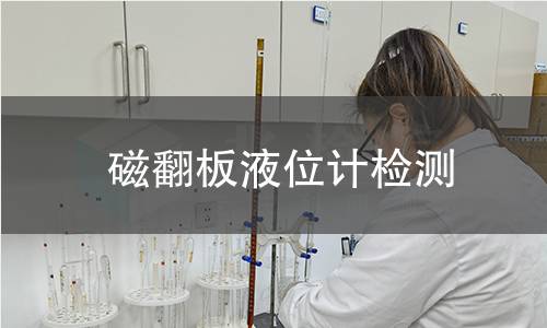 磁翻板液位计检测
