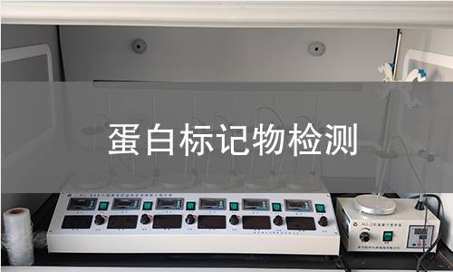 蛋白标记物检测