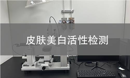 皮肤美白活性检测