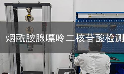 烟酰胺腺嘌呤二核苷酸检测