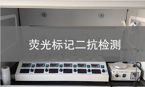 荧光标记二抗检测