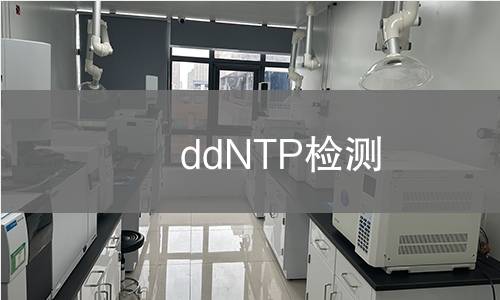 ddNTP检测