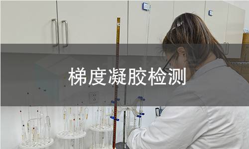 梯度凝胶检测