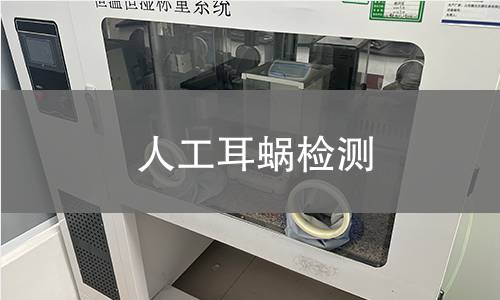 人工耳蜗检测
