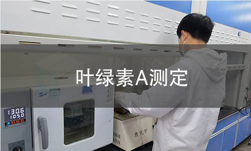 叶绿素A测定