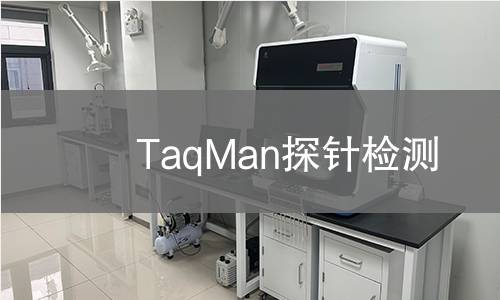 TaqMan探针检测