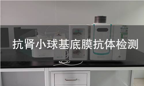 抗肾小球基底膜抗体检测