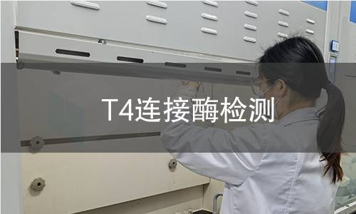 T4连接酶检测,T4连接酶检测机构,T4连接酶检测报告,北检检测中心