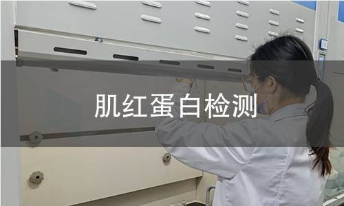 肌红蛋白检测